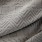 High Stretch Embossed Geometric Slipcover for Couch, Cozy Plush Fleece Couch Cover